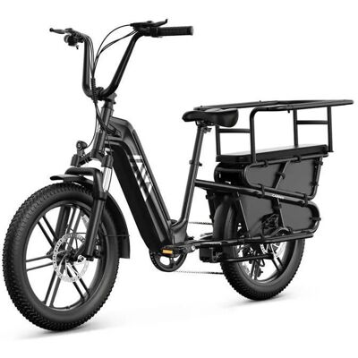 Vélo Électrique adulte TST K8 - Batterie 48V 15Ah - Moteur 1300W - Autonomie 90km - vitesse max 45 km/h - Publicité Vélo Électrique adulte TST K8 - Batterie 48V 15Ah - Moteur 1300W - Autonomie 90km - vitesse max 45 km/h - Publicité