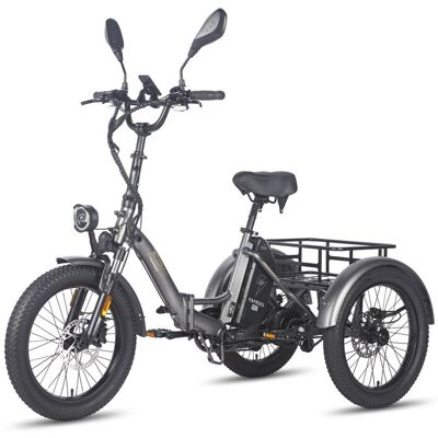 Tricycle cargo électrique pliable Fafrees F20 Mate 48 V 21 Ah gris Gris - Publicité Tricycle cargo électrique pliable Fafrees F20 Mate 48 V 21 Ah gris Gris - Publicité