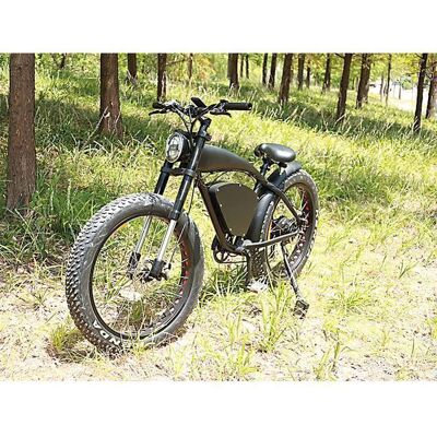 DOGEBOS Vélo électrique 750 W 48 V 15 Ah autonomie de 105 km pneus de 26 x 4 pouces de large avec écran couleur. Noir - Publicité DOGEBOS Vélo électrique 750 W 48 V 15 Ah autonomie de 105 km pneus de 26 x 4 pouces de large avec écran couleur. Noir - Publicité