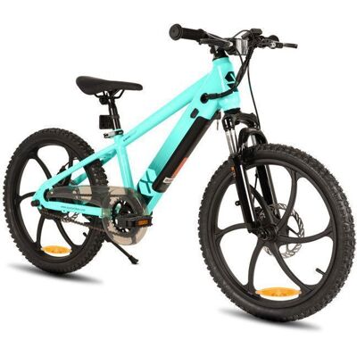 JOYSTAR Vélo Électrique Enfant dès 7 Ans - VTT 250W Moteur BrushlessBatterie Amovible Freins Double Disque 24 km Autonomie-vert Vert - Publicité JOYSTAR Vélo Électrique Enfant dès 7 Ans - VTT 250W Moteur BrushlessBatterie Amovible Freins Double Disque 24 km Autonomie-vert Vert - Publicité