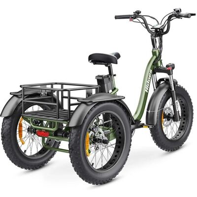 20“Tricycle cargo électrique pliable HIDOES ET1 - 750 W 48 V 20 Ah - Shimano à 7 vitesses-Vert Vert - Publicité 20“Tricycle cargo électrique pliable HIDOES ET1 - 750 W 48 V 20 Ah - Shimano à 7 vitesses-Vert Vert - Publicité