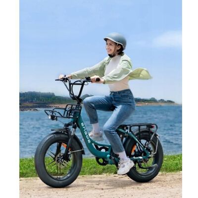 Engwe-L20 Boost-vélo électrique pliant pour adulte 20 -moteur 250W 48v13ah-autonomie 126km-vitesse maximale32km-LED-Vert Vert - Publicité Engwe-L20 Boost-vélo électrique pliant pour adulte 20 -moteur 250W 48v13ah-autonomie 126km-vitesse maximale32km-LED-Vert Vert - Publicité