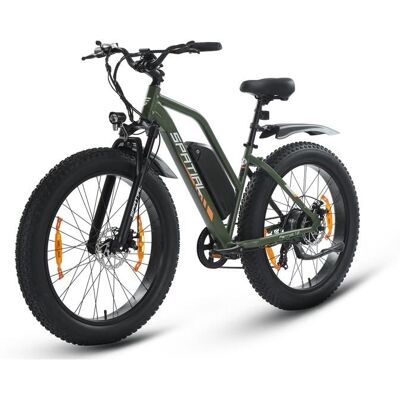 Vélo électrique Ville SPATIAL 26*4 Vert-Moteur 1000W - Batterie Lithium Amovible 48V13Ah - Shimano 7 Vitesses - Autonomie 110km Vert - Publicité Vélo électrique Ville SPATIAL 26*4 Vert-Moteur 1000W - Batterie Lithium Amovible 48V13Ah - Shimano 7 Vitesses - Autonomie 110km Vert - Publicité