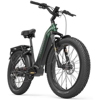 Lankeleisi MG600 Plus Vélo électrique autonomie 150 km batterie 48V 20Ah vitesse maximale 25 km/h vert Vert - Publicité Lankeleisi MG600 Plus Vélo électrique autonomie 150 km batterie 48V 20Ah vitesse maximale 25 km/h vert Vert - Publicité