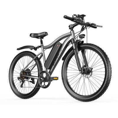 Vélo Électrique TOOFLY G73 250W Batterie 48V 13Ah Amovible 26 pour Ville Gris Gris - Publicité Vélo Électrique TOOFLY G73 250W Batterie 48V 13Ah Amovible 26 pour Ville Gris Gris - Publicité