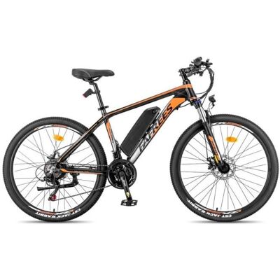 Vélo Électrique - FAFREES - Hailong One - Moteur 250W - Batterie 36V 13Ah - Autonomie 100KM Noir - Publicité Vélo Électrique - FAFREES - Hailong One - Moteur 250W - Batterie 36V 13Ah - Autonomie 100KM Noir - Publicité