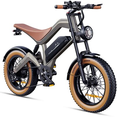 DYU M20 Vélo électrique - Moteur 1000W - Batterie 48V 18.2Ah 55KM/h - Autonomie 115km - freins à hydrauliques - 20 *40 PneusNFC Gris - Publicité DYU M20 Vélo électrique - Moteur 1000W - Batterie 48V 18.2Ah 55KM/h - Autonomie 115km - freins à hydrauliques - 20 *40 PneusNFC Gris - Publicité