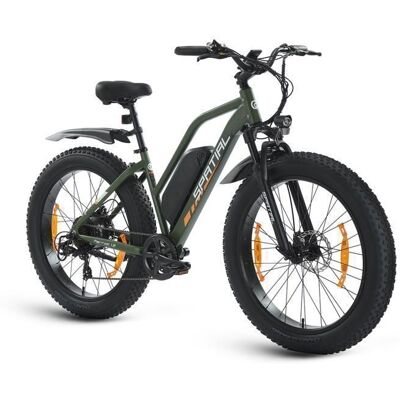 SPATIAL Vélo Électrique 26*4 Vert - Moteur 1000W - Batterie 48V 13Ah- Autonomie 110km - VTT Ville E-Bike - Shimano 7 Vitesses Vert - Publicité SPATIAL Vélo Électrique 26*4 Vert - Moteur 1000W - Batterie 48V 13Ah- Autonomie 110km - VTT Ville E-Bike - Shimano 7 Vitesses Vert - Publicité