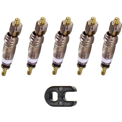Obus de valve Presta - Schwalbe - Lot de 5 - Avec clé de montage - Réparation vélo loisir - Mixte - Publicité Obus de valve Presta - Schwalbe - Lot de 5 - Avec clé de montage - Réparation vélo loisir - Mixte - Publicité