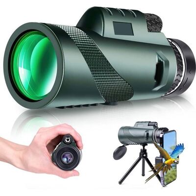 AUTREMENT Télescope monoculaire - 80x100 - 80x - Objectif 100 mm - Prisme BAK-4 lentille FMC LONGUE-VUE - Publicité AUTREMENT Télescope monoculaire - 80x100 - 80x - Objectif 100 mm - Prisme BAK-4 lentille FMC LONGUE-VUE - Publicité