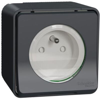 Schneider Electric Prise 2P+T Mureva Styl - Grise Gris - Publicité Schneider Electric Prise 2P+T Mureva Styl - Grise Gris - Publicité