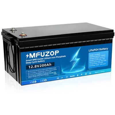 Batterie LiFePO4 DATOUBOSS 12V 200Ah - 2560Wh - Protections BMS – Pour camping-car Bleu - Publicité Batterie LiFePO4 DATOUBOSS 12V 200Ah - 2560Wh - Protections BMS – Pour camping-car Bleu - Publicité