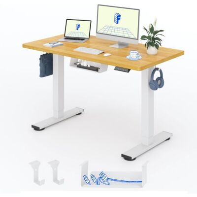 FlexiSpot Bureau Assis Debout Électrique Plateau Monobloc 100 kg de Charge 4 Mémoires Détection d’Obstacle 120 * 80 Maple+Blanc Blanc - Publicité FlexiSpot Bureau Assis Debout Électrique Plateau Monobloc 100 kg de Charge 4 Mémoires Détection d’Obstacle 120 * 80 Maple+Blanc Blanc - Publicité