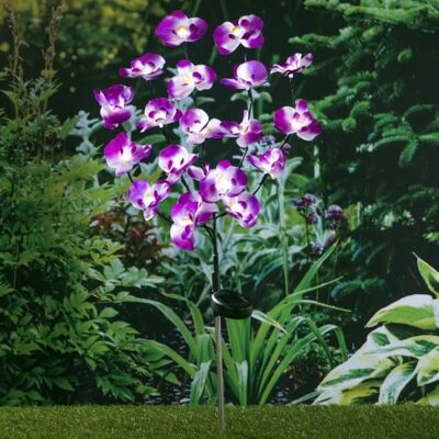 CD3504HI Lampe solaire à LED de jardin Lampadaire extérieur Professionnel Décor - lampe pour jardin extérieur en forme dorchidée - Publicité CD3504HI Lampe solaire à LED de jardin Lampadaire extérieur Professionnel Décor - lampe pour jardin extérieur en forme dorchidée - Publicité