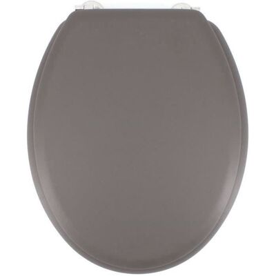 Couvercle de WC Gris Gelco - Siège WC - France - Publicité Couvercle de WC Gris Gelco - Siège WC - France - Publicité