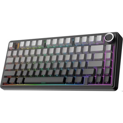 Clavier Gaming Mécanique Aula F75 75% Gasket Triple Modes QWERTY Switch Hot-Swap Bouton RGB PBT Keycaps Noir récif dégradé gris Noir - Publicité Clavier Gaming Mécanique Aula F75 75% Gasket Triple Modes QWERTY Switch Hot-Swap Bouton RGB PBT Keycaps Noir récif dégradé gris Noir - Publicité