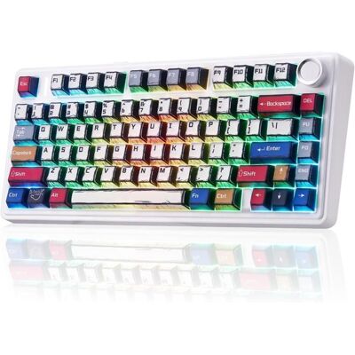 Clavier Gaming Mécanique Sans Fil Aula F75 75% - 3 Modes Structure Gasket Switch Interchangeable Bouton RGB-Couleur manga - Publicité Clavier Gaming Mécanique Sans Fil Aula F75 75% - 3 Modes Structure Gasket Switch Interchangeable Bouton RGB-Couleur manga - Publicité