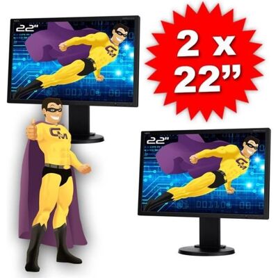 Lot DUAL SCREEN 2 Ecrans PC Pro 22 NEC E222W-BK TFT TN VGA DVI Display VESA Noir - Publicité Lot DUAL SCREEN 2 Ecrans PC Pro 22 NEC E222W-BK TFT TN VGA DVI Display VESA Noir - Publicité
