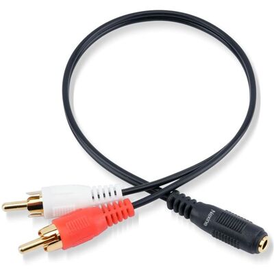 PRODUIT SANS MARQUE Câble de conversion stéréo - Nexine - adaptateur jack 35 mm femelle vers 2 rca mâle - 30 cm - câble adaptateur pour décodeur TV Noir - Publicité PRODUIT SANS MARQUE Câble de conversion stéréo - Nexine - adaptateur jack 35 mm femelle vers 2 rca mâle - 30 cm - câble adaptateur pour décodeur TV Noir - Publicité