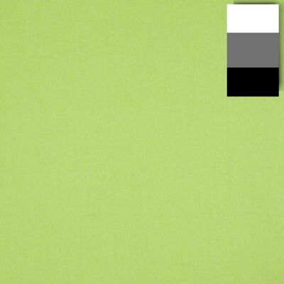 walimex Tissu de fond 2 85x6m vert clair Vert - Publicité walimex Tissu de fond 2 85x6m vert clair Vert - Publicité
