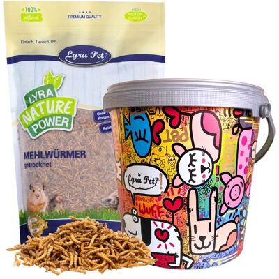 10 litres de vers de farine Lyra Pet® dans un seau design - Publicité 10 litres de vers de farine Lyra Pet® dans un seau design - Publicité