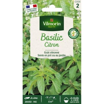 Graine - Vilmorin - Basilic Citron - Publicité Graine - Vilmorin - Basilic Citron - Publicité