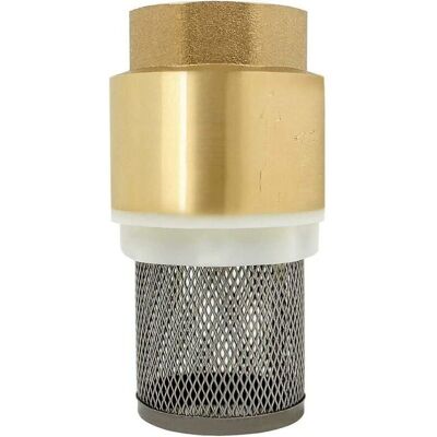 Clapet crepine anti retour 1/2、3/4、1、2 pouce - vanne non retour clapet anti-retour pompe (1 pouce) - Publicité Clapet crepine anti retour 1/2、3/4、1、2 pouce - vanne non retour clapet anti-retour pompe (1 pouce) - Publicité