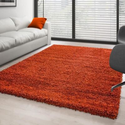 Tapis Shaggy - Ayyildiz - Terracotta - 300x400 cm - 100% Polypropylène - 30 mm de hauteur de pile Orange - Publicité Tapis Shaggy - Ayyildiz - Terracotta - 300x400 cm - 100% Polypropylène - 30 mm de hauteur de pile Orange - Publicité