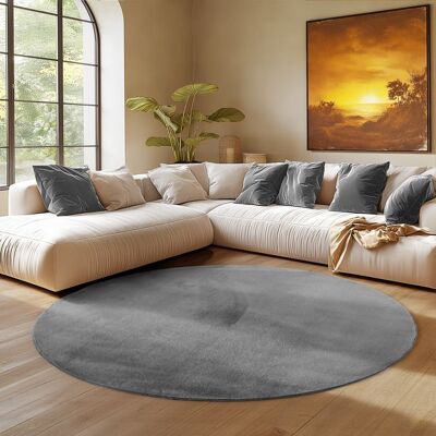 Tapis SIMPEX Rond 200 cm Poils Courts Lavable Doucement Antidérapant et Design Moderne pour Salon Chambre Gris Gris - Publicité Tapis SIMPEX Rond 200 cm Poils Courts Lavable Doucement Antidérapant et Design Moderne pour Salon Chambre Gris Gris - Publicité
