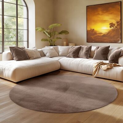 Tapis SIMPEX Rond 160 cm Poils Courts Lavable Doucement Antidérapant et Design Moderne pour Salon Chambre Marron Marron - Publicité Tapis SIMPEX Rond 160 cm Poils Courts Lavable Doucement Antidérapant et Design Moderne pour Salon Chambre Marron Marron - Publicité