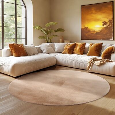 Tapis SIMPEX Rond 200 cm Poils Courts Lavable Doucement Antidérapant et Design Moderne pour Salon Chambre Beige Beige - Publicité Tapis SIMPEX Rond 200 cm Poils Courts Lavable Doucement Antidérapant et Design Moderne pour Salon Chambre Beige Beige - Publicité