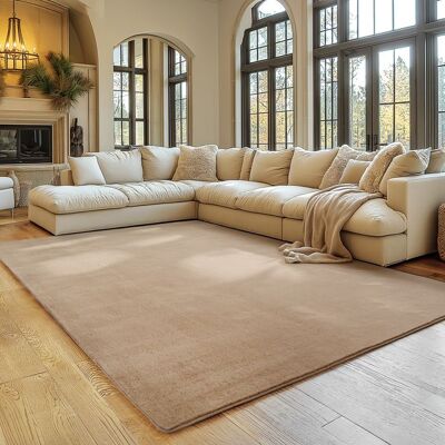 Tapis SIMPEX 140x200 cm Poils Courts Lavable Doucement Antidérapant et Design Moderne pour Salon Chambre Beige Beige - Publicité Tapis SIMPEX 140x200 cm Poils Courts Lavable Doucement Antidérapant et Design Moderne pour Salon Chambre Beige Beige - Publicité
