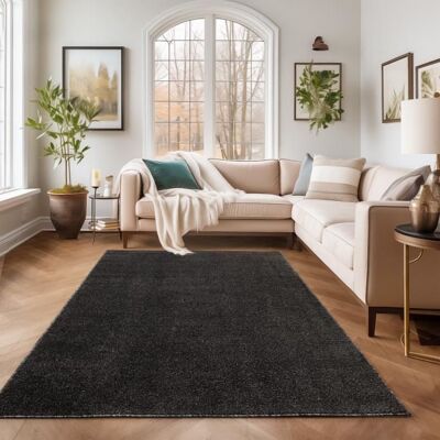 Tapis Salon Moderne - SIMPEX - Azalée - Anthracite - 120 x 170 cm - 100% Polypropylène Noir - Publicité Tapis Salon Moderne - SIMPEX - Azalée - Anthracite - 120 x 170 cm - 100% Polypropylène Noir - Publicité
