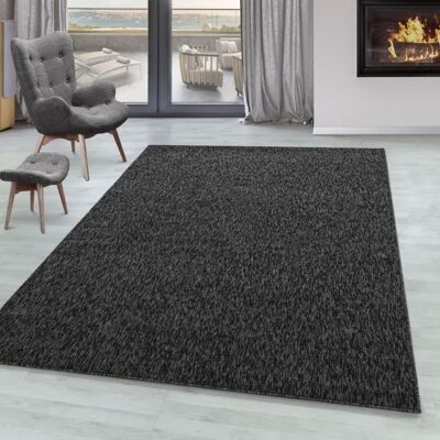 SIMPEX Tapis à poil ras Gabbeh optique robuste chambre moquette Bureau à domicilev Noir 160 x 230 cm Noir - Publicité SIMPEX Tapis à poil ras Gabbeh optique robuste chambre moquette Bureau à domicilev Noir 160 x 230 cm Noir - Publicité