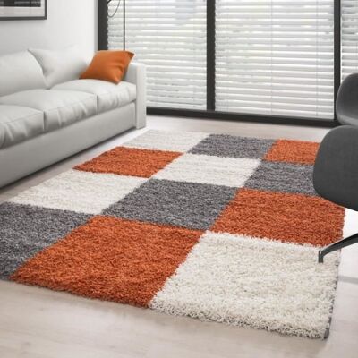 AYYILDIZ Tapis - TERRACOTTA - Shaggy - 80x150 cm - Carreaux - 30 mm de hauteur de pile Gris - Publicité AYYILDIZ Tapis - TERRACOTTA - Shaggy - 80x150 cm - Carreaux - 30 mm de hauteur de pile Gris - Publicité
