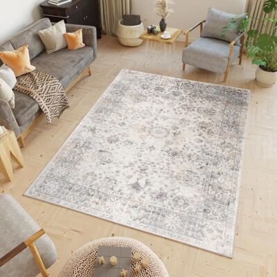 TAPISO Tapis Salon Poils Ras Valley Beige Gris Clair Floral Polyester Intérieur 120x170 cm Gris - Publicité TAPISO Tapis Salon Poils Ras Valley Beige Gris Clair Floral Polyester Intérieur 120x170 cm Gris - Publicité