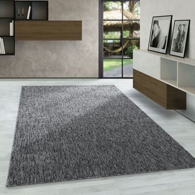 Carpetsale24 Tapis de Salon Moderne Uni Gris Chiné 200x290 cm - Boucles Courtes Entretien Facile Tapis Uni Gris - Publicité Carpetsale24 Tapis de Salon Moderne Uni Gris Chiné 200x290 cm - Boucles Courtes Entretien Facile Tapis Uni Gris - Publicité
