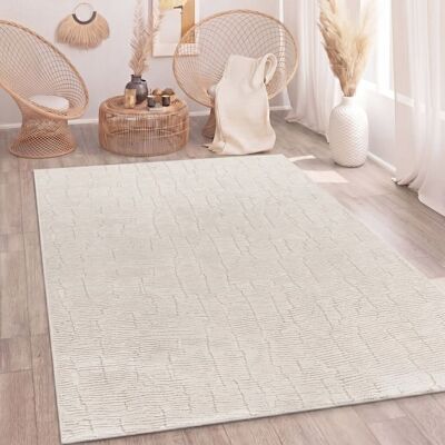 Tapis Paco Home Style Scandinave À Poil Long - Publicité Tapis Paco Home Style Scandinave À Poil Long - Publicité