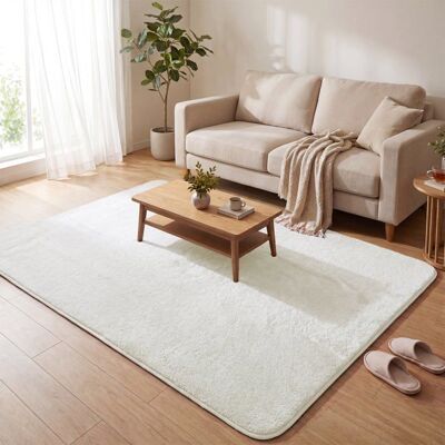 VOUNOT® Tapis de salon poils ras doux antiderapant 160x230cm uni crème Blanc - Publicité VOUNOT® Tapis de salon poils ras doux antiderapant 160x230cm uni crème Blanc - Publicité