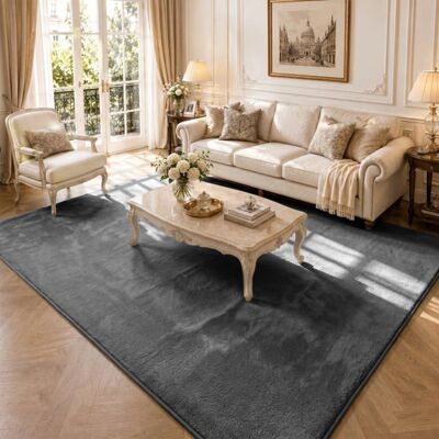 VOUNOT® Tapis de salon poils ras doux antiderapant 200x300cm uni anthracite Noir - Publicité VOUNOT® Tapis de salon poils ras doux antiderapant 200x300cm uni anthracite Noir - Publicité