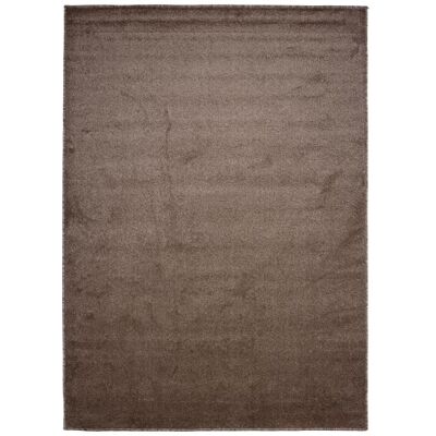 TAPISO Tapis Salon Chambre Poil Court NOYAN Marron Uni Moderne Polypropylène Intérieur 160x220 cm Marron - Publicité TAPISO Tapis Salon Chambre Poil Court NOYAN Marron Uni Moderne Polypropylène Intérieur 160x220 cm Marron - Publicité