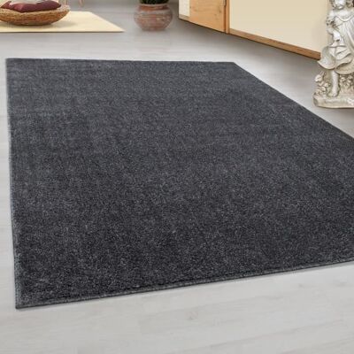 Tapis Salon Moderne - SIMPEX - Azalée - Gris - 240 x 340 cm - 100% Polypropylène Gris - Publicité Tapis Salon Moderne - SIMPEX - Azalée - Gris - 240 x 340 cm - 100% Polypropylène Gris - Publicité