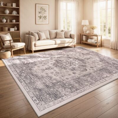 Paco Home Tapis Vintage Boho Moderne Salon Ras Court Lavable Antiderapant Gris Multicolore Taupe 240x340 cm Gris - Publicité Paco Home Tapis Vintage Boho Moderne Salon Ras Court Lavable Antiderapant Gris Multicolore Taupe 240x340 cm Gris - Publicité