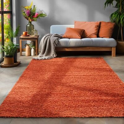Tapis Salon Shaggy - MARION - Terra - 160 x 230 cm - 100% Polypropylène - SIMPEX Orange - Publicité Tapis Salon Shaggy - MARION - Terra - 160 x 230 cm - 100% Polypropylène - SIMPEX Orange - Publicité