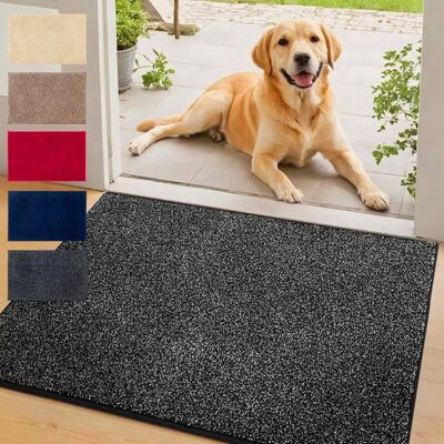 FLOORDIREKT Tapis dentrée absorbant Nasa Anthracite 80 x 120 cm Noir - Publicité FLOORDIREKT Tapis dentrée absorbant Nasa Anthracite 80 x 120 cm Noir - Publicité