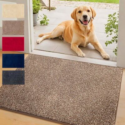 FLOORDIREKT Tapis dentrée absorbant Nasa Marron 60 x 90 cm Marron - Publicité FLOORDIREKT Tapis dentrée absorbant Nasa Marron 60 x 90 cm Marron - Publicité