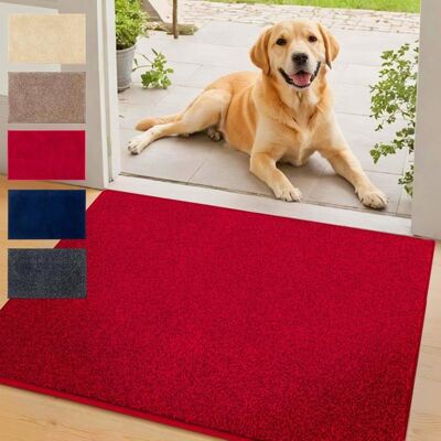 FLOORDIREKT Tapis dentrée absorbant Nasa Rouge 50 x 80 cm Rouge - Publicité FLOORDIREKT Tapis dentrée absorbant Nasa Rouge 50 x 80 cm Rouge - Publicité