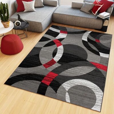 TAPISO Tapis Salon Poil Court Maya Gris Noir Rouge Cercles Polypropylène Intérieur 120x170 cm Rouge - Publicité TAPISO Tapis Salon Poil Court Maya Gris Noir Rouge Cercles Polypropylène Intérieur 120x170 cm Rouge - Publicité