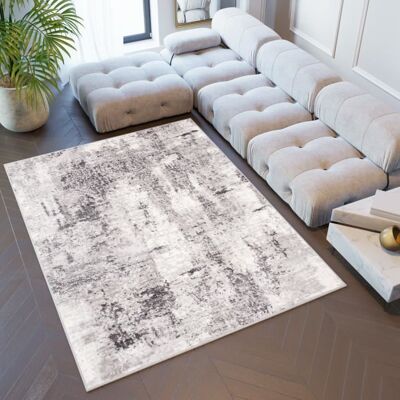 TAPISO Tapis Salon Poils Ras Sky Gris Clair Crème Vintage Polyester Intérieur 140x200 cm Gris - Publicité TAPISO Tapis Salon Poils Ras Sky Gris Clair Crème Vintage Polyester Intérieur 140x200 cm Gris - Publicité