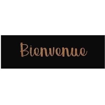 IDMAT Tapis coco naturel spéciale marche - 25 x 75 cm - Epaisseur 15 mm - Bienvenue noir Noir - Publicité IDMAT Tapis coco naturel spéciale marche - 25 x 75 cm - Epaisseur 15 mm - Bienvenue noir Noir - Publicité